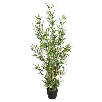 Vazo Me Bimë Bamboo