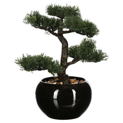Vazo me lule BONSAI