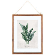 Panorame prej qelqi LEAVES, 38*48 cm