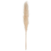 Pampa NAT STEM X3 H110