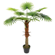 Peme palma H120 Cm