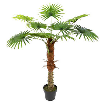 Peme palma H120 Cm