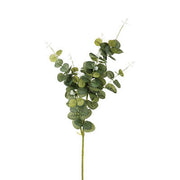 Dege EUCALYPTUS H91