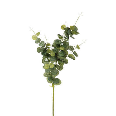Dege EUCALYPTUS H91