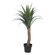 Vazo me palme YUCCA H110