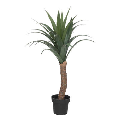 Vazo me palme YUCCA H110