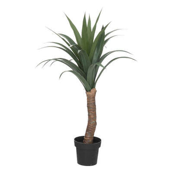 Vazo me palme YUCCA H110