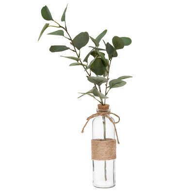 Vazo qelqi me Eucalyptus