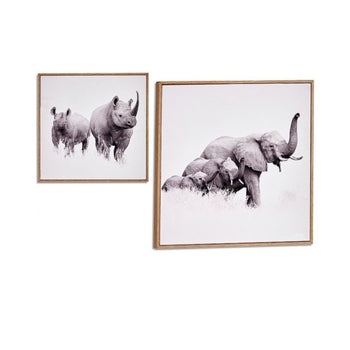 Pikturë ELEPHANTS-RINOS 31x31 cm