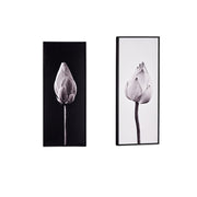 Pikture Lule me kornize te zeze 21x51 cm
